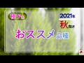 【園芸】2021年秋向け タキイの種子系・最新おススメ品種