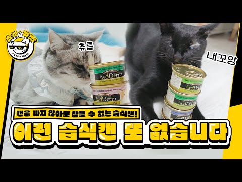 ㅣ스웩마켓 @읏디의 고양이타이쿤 Cat <strong>Tycoon</strong>