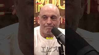 Joe Rogan Got Absolutely ROASTED By Elon Musk's AI Friend