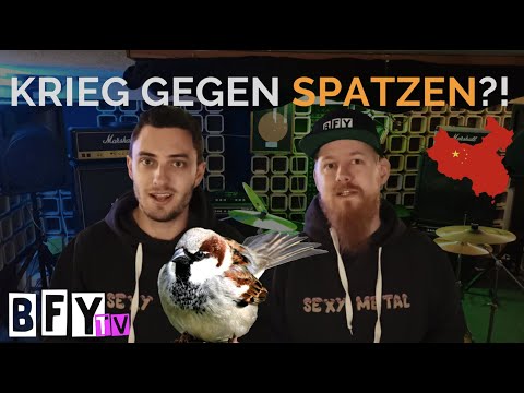 Video: Egregoren und Psychoprogrammierung des menschlichen Bewusstseins