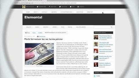 Elemental WordPress Theme, Selecting Custom Fonts