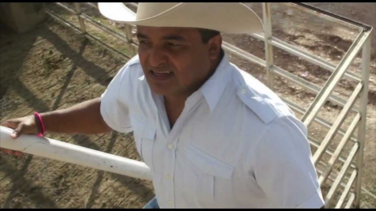 Vitico Castillo - Para que voy a mentir