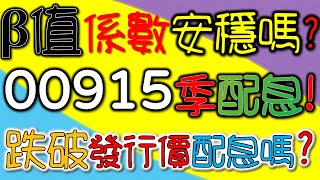 ETF00915季配領息存股術！跌破發行價是否能配息？退休長期安穩領息嗎？風險係數BETA值檢驗波動度！｜我們這一家