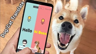 dog Translator app downloaddog translator app screenshot 2