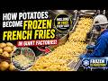 How Potatoes Become Frozen French Fries In Giant Factories