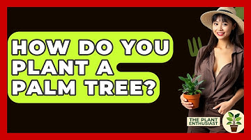 How Do You Plant A Palm Tree? - The Plant Enthusiast