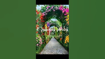 Al-Buruj (سورة البروج) - Egzon Ibrahimi #egzonibrahimi #سورة_البروج