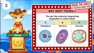 TEKS Science 8th Grade - 8.13A: Cell Organelles and Their Functions (Exit Ticket)
