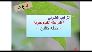 3ثانوي |التركيب الضوئي | المرحلة الكيموحيوية | حلقة كالفن