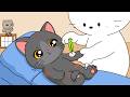 Mizu Helps a Black Cat Recover | ASMR Animation | Life in Shirakawa