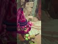 PVZ bfn #gaming #gameplay #shorts