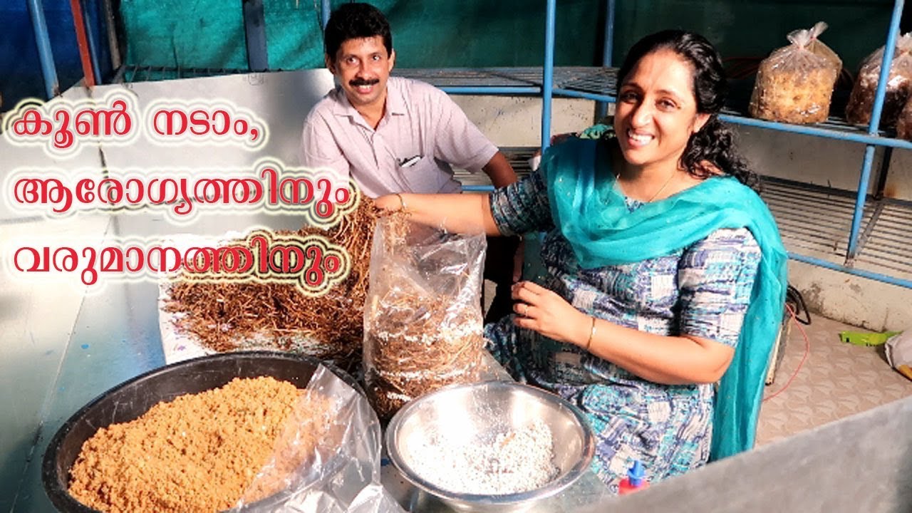 കൂൺ ബെഡ്ഡ് എളുപ്പത്തിൽ ഉണ്ടാക്കാം Mushroom Bed Preparation Process