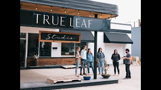 UNT Alumni Live! with True Leaf Studio