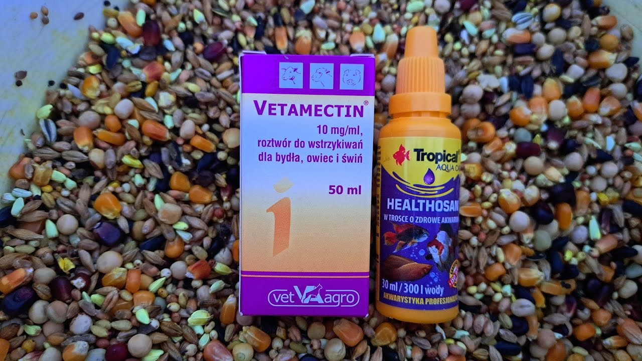 Trichomonadoza oraz odrobaczanie gołębi 🕊 Co i jak stosuje ? Jak zapobiegać?