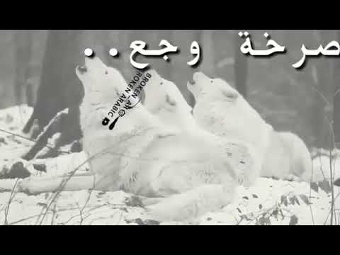 حالات واتس صرخة وجع