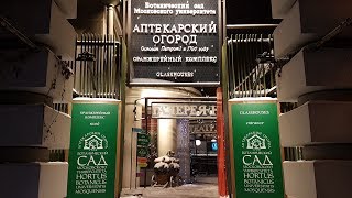 Тропическая зима в Аптекарском огороде