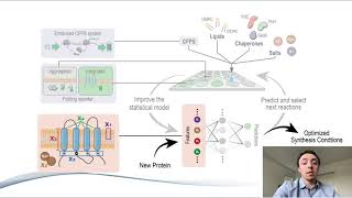 Rapid and Predictive Synthesis of Membrane Proteins Ex Vivo by Conary Meyer