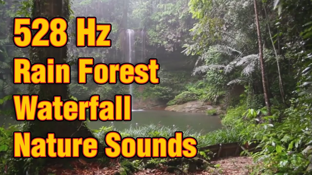 528Hz  || Rain Forest || Miracle Tone || Repairs DNA || Solfeggio || Calming Sounds of the Universe