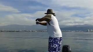 Catch and cook king mackerel