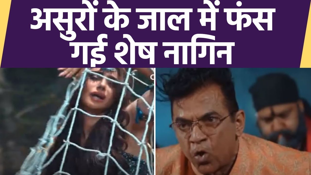 Naagin 6 Spoiler: Asur के जाल में फंसी Shesh Naagin, Pratha ने लिया Naagin avatar| FilmiBeat