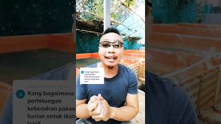 Bagaimana cara perhitungan pakan per hari untuk ikan lele❓#shortsviral #lele #jajangjamaludin