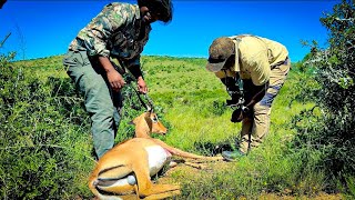 Inciniba Ipheliyimpalandigoduka Nayo Ebunzimeni