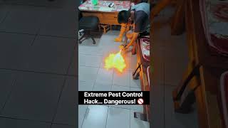 Would You Try This? 👀 #insecticides #pestcontrol #funny #decuriosityhub #curiosity #explore