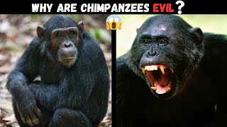 The Terrifying Truth About Chimpanzees