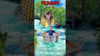 Whatchased By A River Snakeheres How To Make It