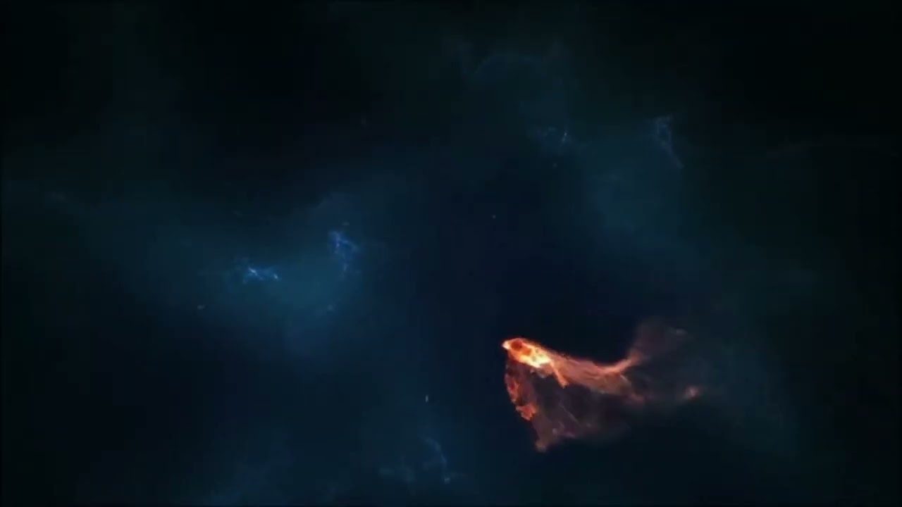 Flying bird template green screen | Cinema TV |