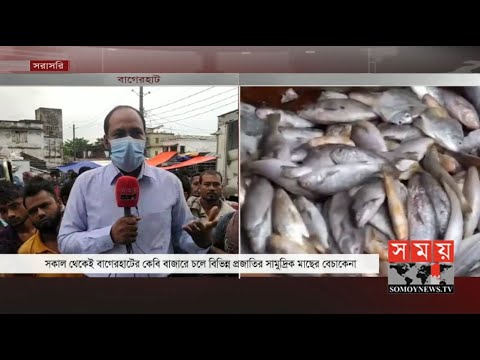বাগেরহাটের কেবি বাজারে জমজমাট সামুদ্রিক মাছের বেচাকেনা | Fishes of BD
