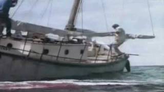 HQ Uncut Jaws The Revenge Ending-THEJAWSCOLLECTOR