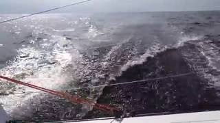 Apogee Goes To The Minch