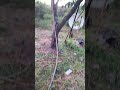 A natureza é mil maravilhas