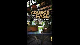 Quais adubos são para cada fase da sua orquídea? screenshot 4
