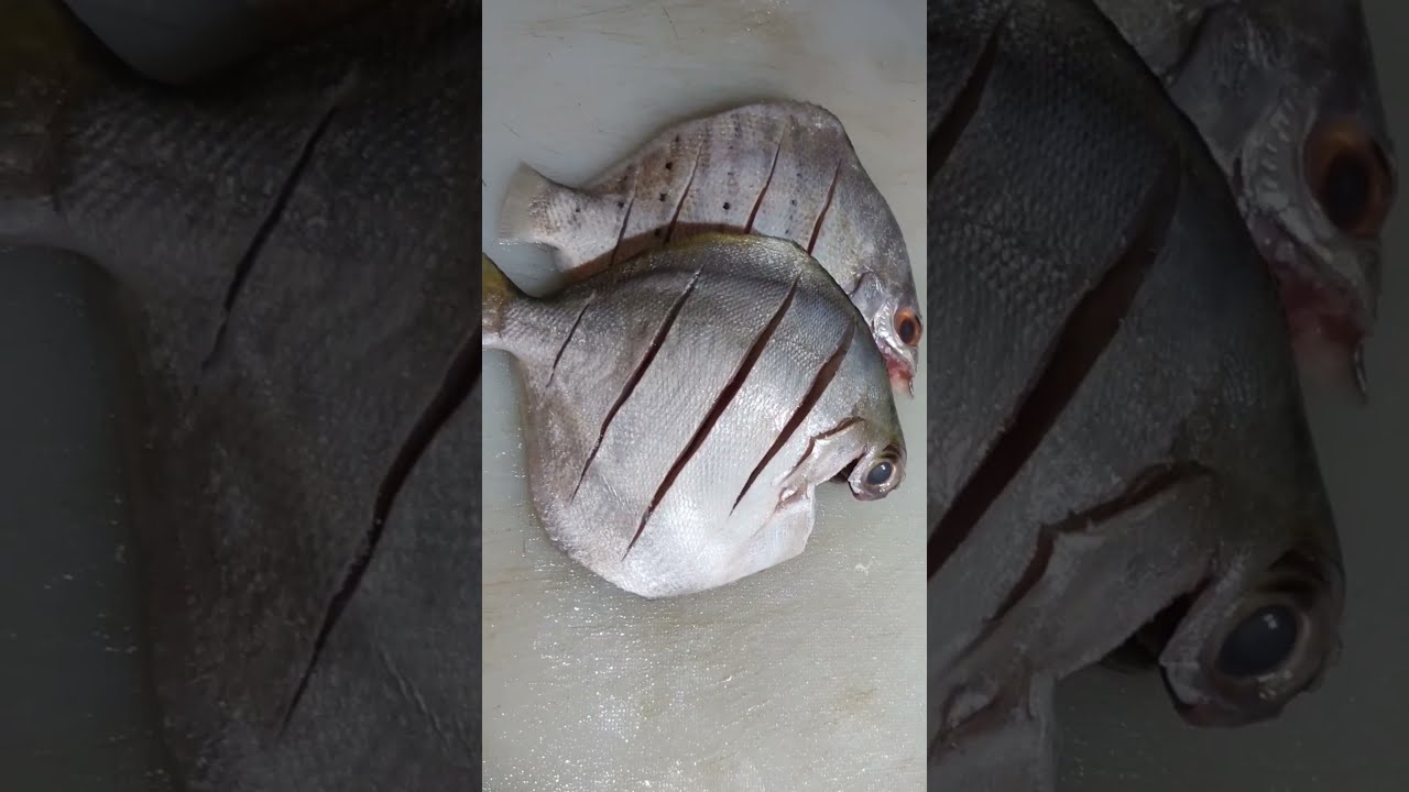 How to clean and cut POMFRET Fish|