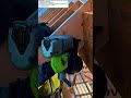 Roof Framing with Nail Gun &amp; Tyvek HomeWrap  Educational Short: Specifications Productivity Impact"