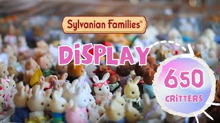 Download lagu Sylvanian Families | Collection display | May 2025 | 650 critters