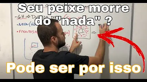 Como saber se a água do aquário está dura?
