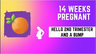 14 WEEKS PREGNANCY UPDATE by T&G Life 16 views 10 months ago 6 minutes, 45 seconds