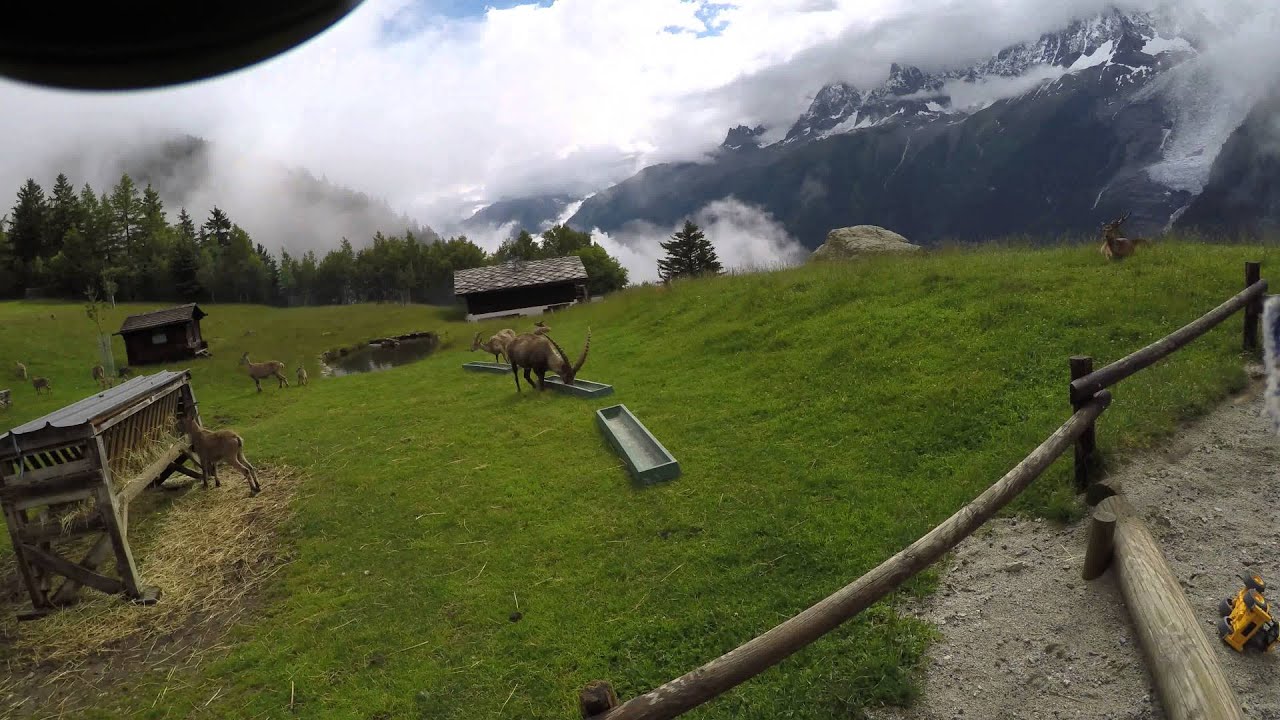 Parc De Merlet Chemin De Merlet Les Houches