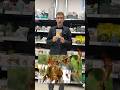 MONILIAL BURN SCAB AND FRUIT ROT PLANTHENOL NEO 