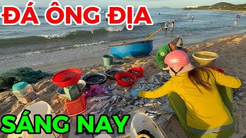 Check-in Bãi Đá Ông Địa Mùa Đẹp Nhất – Nước Trong Vắt, Sóng Êm, Điểm Đến Không Thể Bỏ Lỡ !