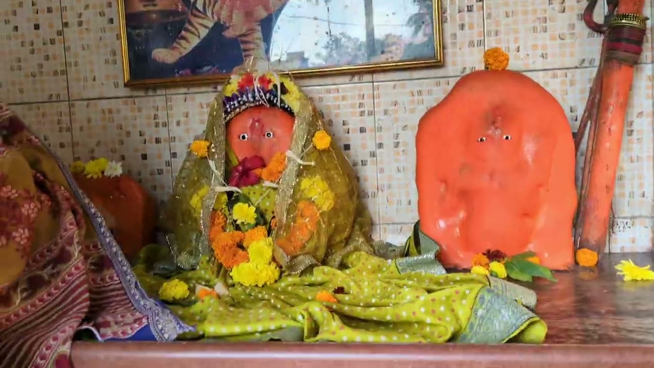 आई एकवीरा देवी ची पालखी तुर्भे गाव ते कार्ला डोगर ( वर्ष ४ )