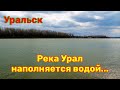 Река Урал наполняется водой! На связи Актобе.