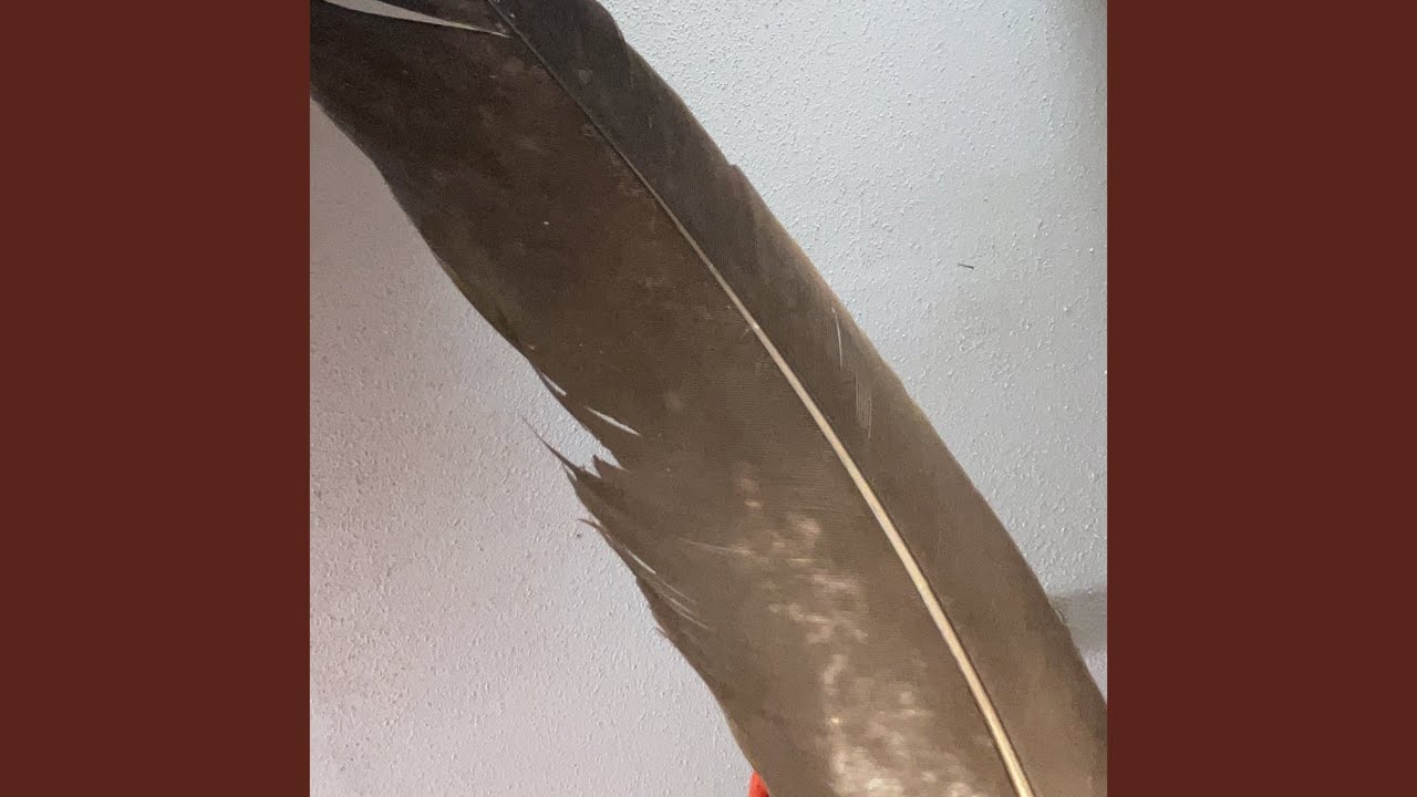 (B)Heater " ChairmanWon V1 "