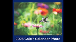 Learn More About  Hummingbird Migration 2024