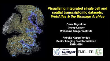 Visualising integrated single cell and spatial transcriptomic datasets