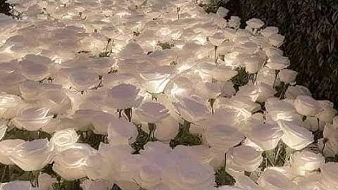 صلاة الفجر سورة الأنعام سفيان بن عيجة