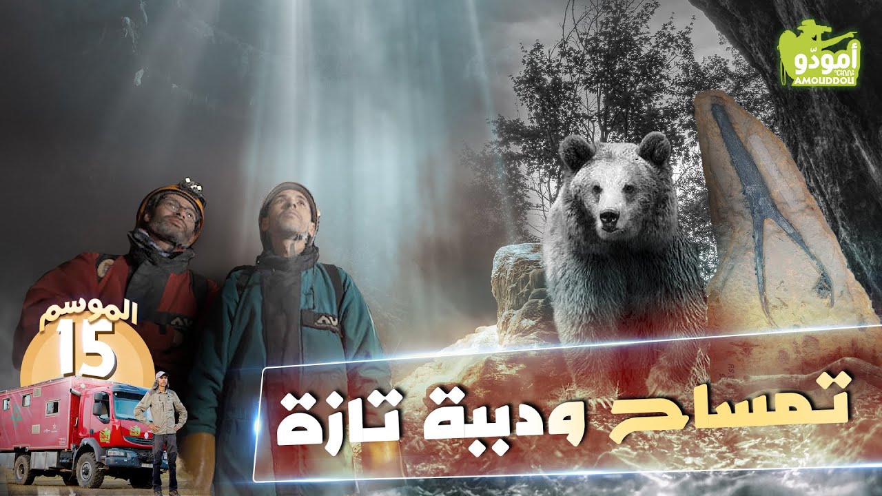 أمودّو 205 | تمساح ودببة تازة ✅